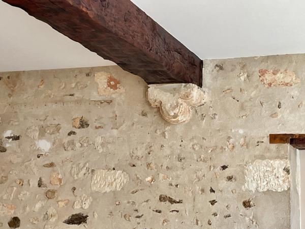 Propriete à vendre 15 pièces THIRON GARDAIS (28)