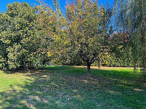 Maison de plain pied