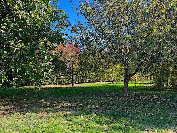 Maison de plain pied