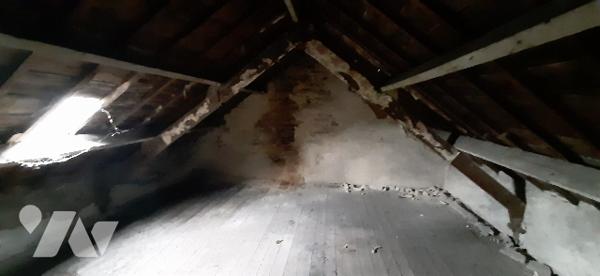 Rdc : entrée, cuis., arrière cuisine, ch,  WC, sde
Etage : 2 ch, avec grenier.
Jardin avec cabanon