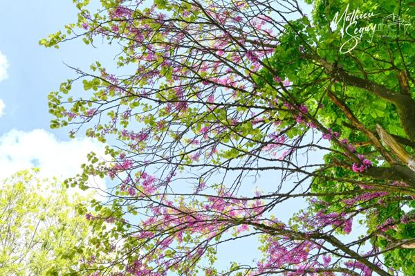 GREZIEU LA VARENNE plateau appartement T3 de 62,98 m² avec 2 stationnements