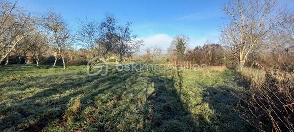 Terrain de 1 640 m²