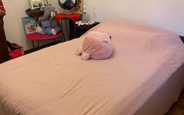 Maison à vendre    4 pièces •  Paulhan