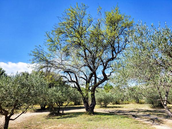 Mérindol (84360) Maison 5 chambres sur un terrain de 6000m² et un trés bel environnement.