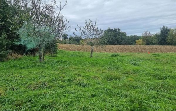 Vente Terrain Nougaroulet   