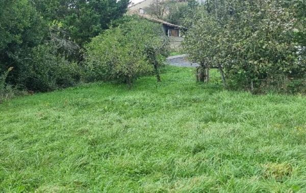 Vente Terrain Nougaroulet   