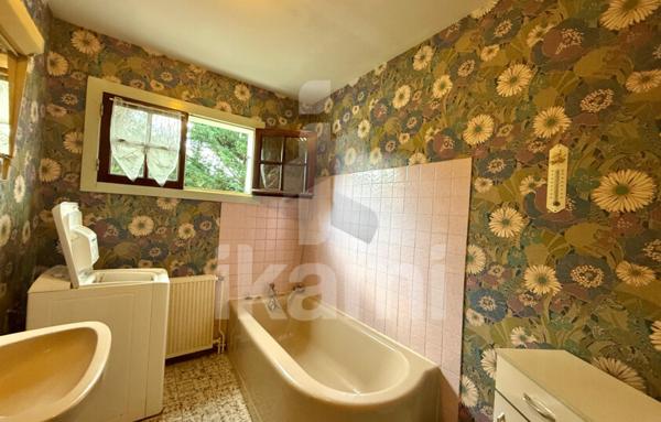 Chalet 7 pièces avec dépendance