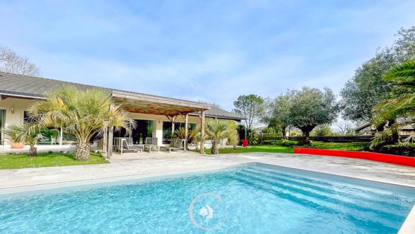 Blanquefort (33290) VILLA D'ARCHITECTE BLANQUEFORT