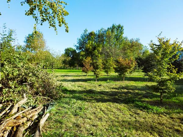 Migron (17770) Spacieuse maison de 225 m² avec piscine couverte, jardin, dépendances et champ truffier – cadre exceptionnel !