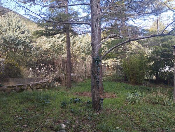 EXCLUSIVITE       Maison  de village