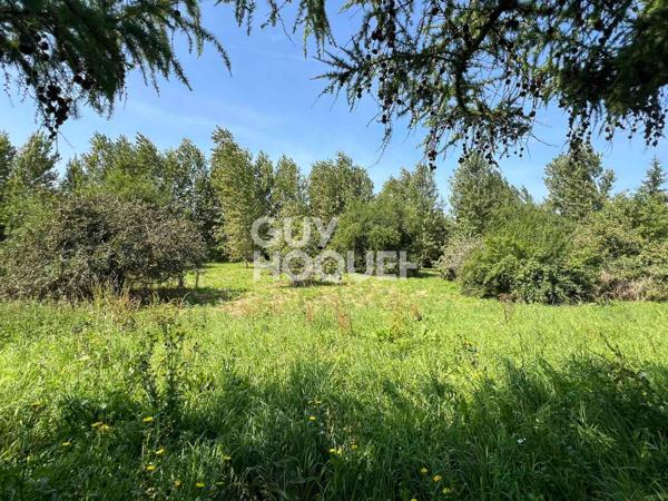 A Vendre, Maison de 245 m² habitables sur 6560 m² de terrain centre village avec commerces.