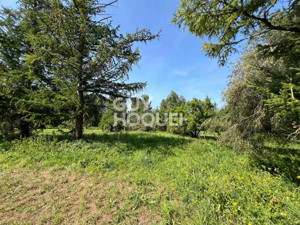 A Vendre, Maison de 245 m² habitables sur 6560 m² de terrain centre village avec commerces.