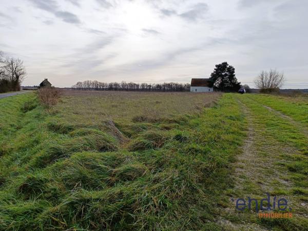 terrain agricole avec grange