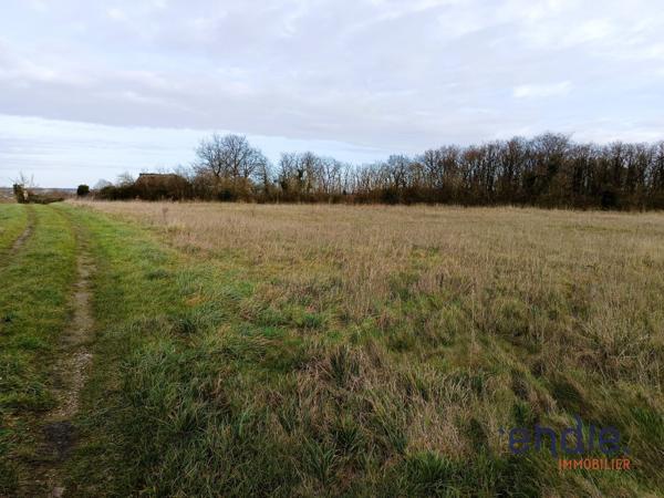 terrain agricole avec grange