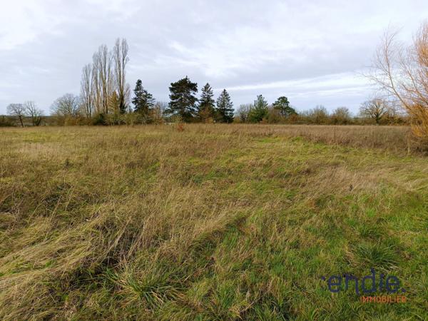 terrain agricole avec grange
