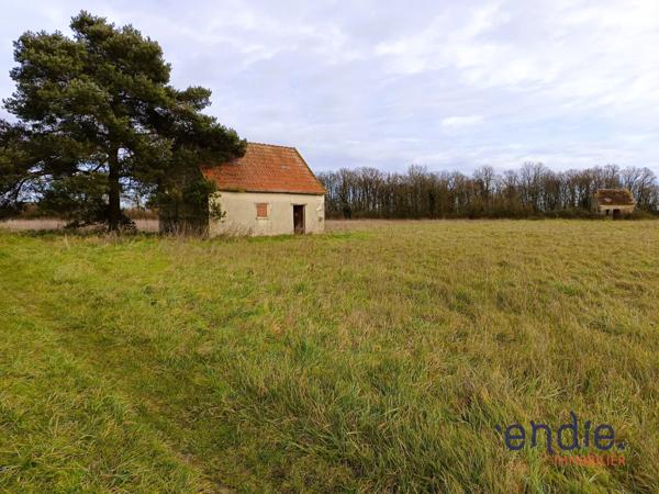 terrain agricole avec grange