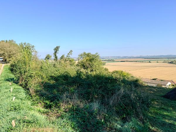 CANTE : TERRAIN 5365M2 CONSTRUCTIBLES