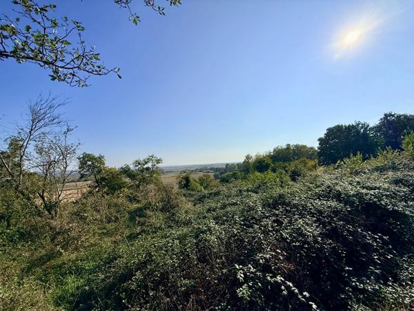 CANTE : TERRAIN 5365M2 CONSTRUCTIBLES