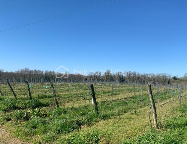 Exploitation viticole de 136 m²