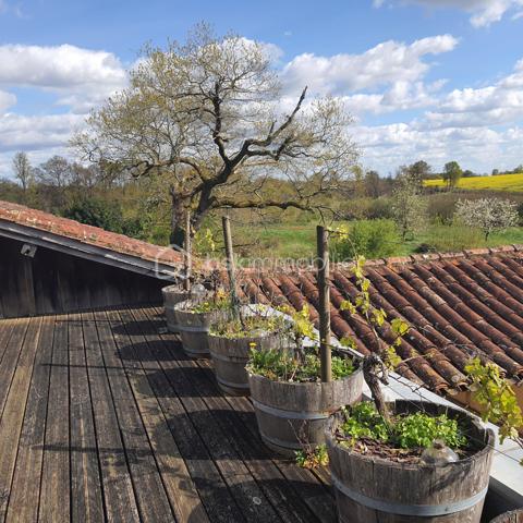 Exploitation viticole de 136 m²