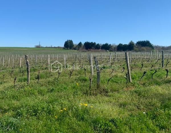 Exploitation viticole de 136 m²