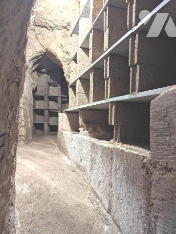 Maison 8 pièces  et local commercial à Ste Maure de Touraine