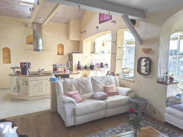 Maison 8 pièces  et local commercial à Ste Maure de Touraine