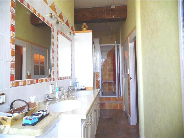 Maison 8 pièces  et local commercial à Ste Maure de Touraine