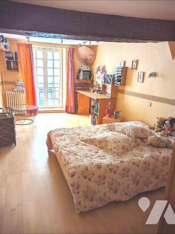 Maison 8 pièces  et local commercial à Ste Maure de Touraine