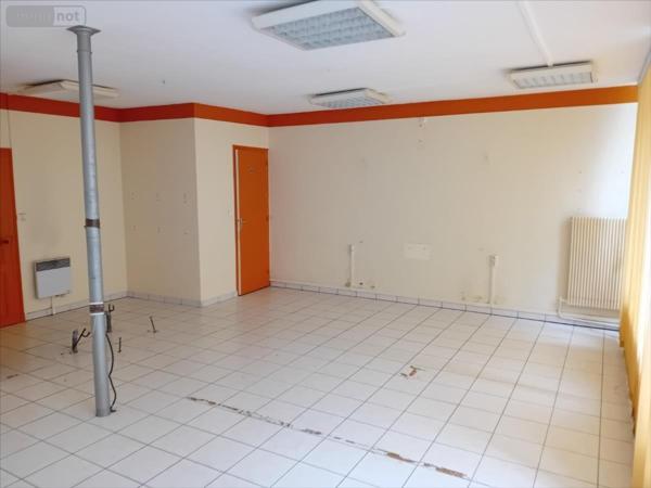 Maison à restaurer à vendre à Mayet dans la Sarthe (72360), ref : 72012-1036346