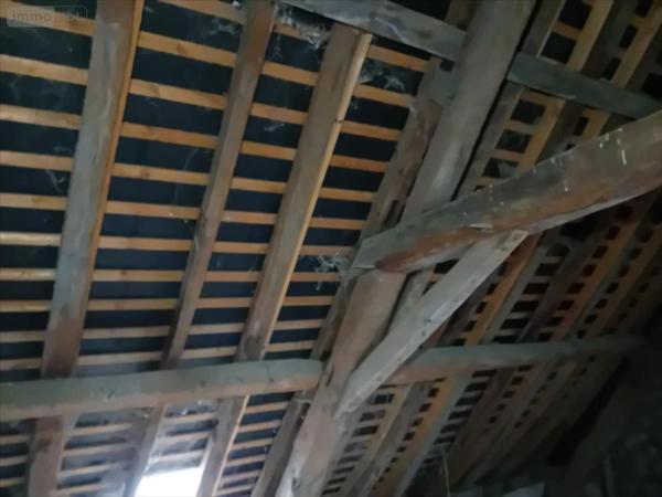 Maison à restaurer à vendre à Mayet dans la Sarthe (72360), ref : 72012-1036346