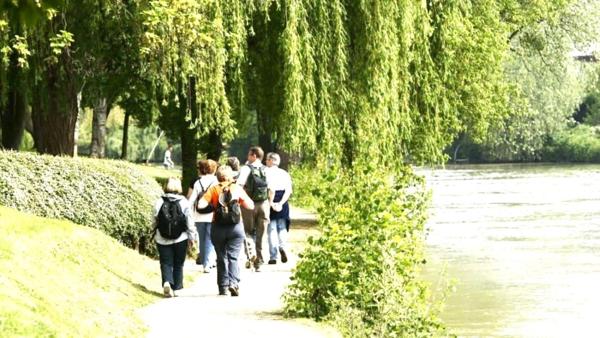 LE PERREUX-SUR-MARNE appartement F4 - 76 m2 avec balcon cave et parking