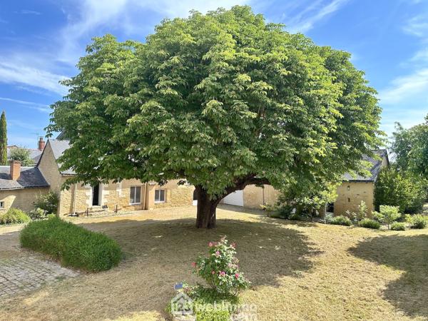 Maison de maître 416 m² à Chavagnes-les-Eaux 49380