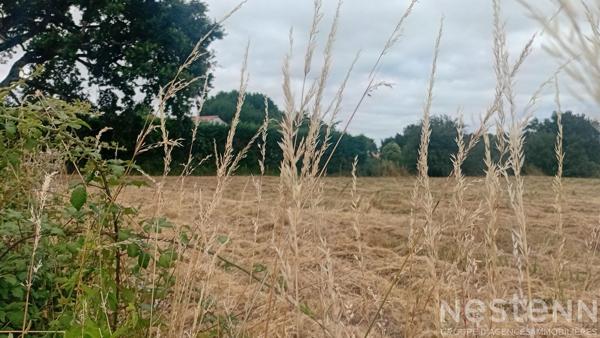 Superbe terrain à vendre hors lotissement de près de 700 m² à SAUJON