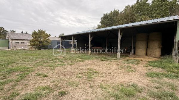 Axelle mandataire BSK IMMOBILIER vous propose cet ensemble immobilier situé à Sainte-Opportune, à seulement 6 minutes de Briouze. 

Cette belle propriété rénovée depuis 2020, implantée sur un terrain de 1,4 hectare offre une surface habitable d’environ 187 m². 
Au rez-de-chaussée, elle se compose d’une cuisine équipée ouverte sur un salon-séjour d’environ 35 m² plein de charme grâce à ses pierres apparantes, d’une chambre, d’une salle d’eau et de WC séparé. 
À l’étage, vous trouverez cinq chambres, dont une restant à terminer de rénover, ainsi qu’une salle de bains avec douche et des WC.

La propriété dispose également d’un sous-sol complet, de fenêtres PVC double vitrage, d’un chauffage central aux granulés complété par un poêle à bois, ainsi que d’un puits en complément de l’eau de ville. 
À l’extérieur, l’éclairage est programmé et la propriété bénéficie également d’un système de video surveillance et d’un portail automatique.

Un ensemble d’environ 700 m² de bâtiments complète ce bien, avec notamment une salle de réception , des hangars..

Enfin, vous allez être charmé par le toit terrasse qui vous offrira une vue panoramique sur les paysages verdoyants environnants

Une propriété aux nombreuses possibilités !

Contactez-moi au 07 62 82 65 78 ou par email à : a.barbey@bskimmobilier.com pour organiser une visite !