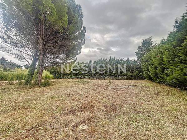 Terrain Saint Remy De Provence 1200 m²