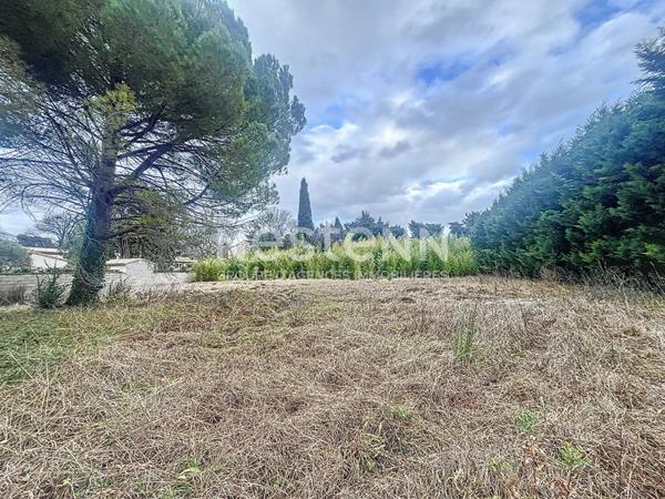 Terrain Saint Remy De Provence 1200 m²