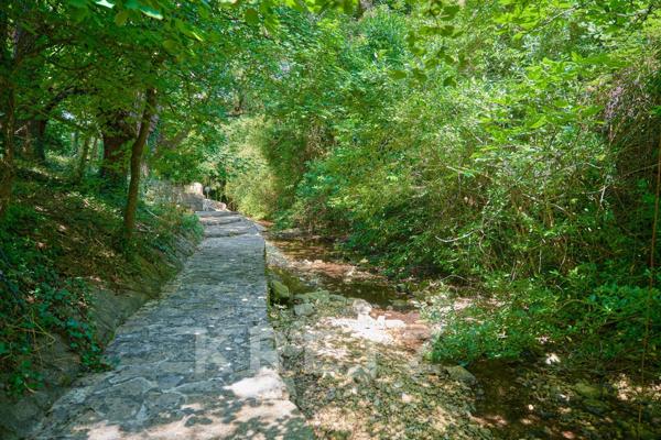 Demeure du 18e siècle rénovée, avec piscine et jardin