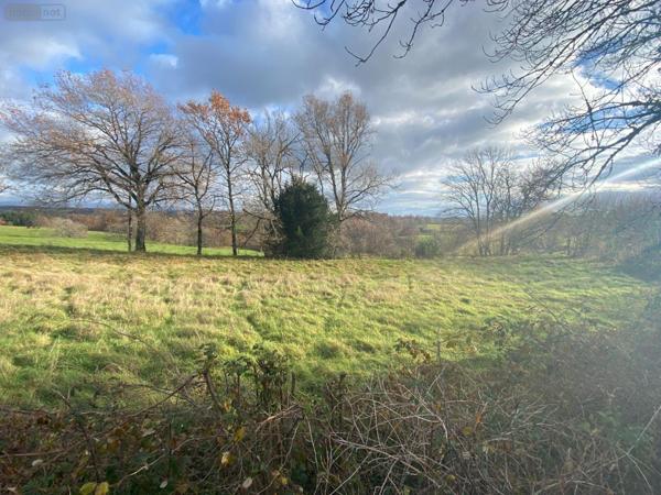 Terrain à Batir à vendre à Pleaux dans le Cantal (15700), ref : 15060/1183