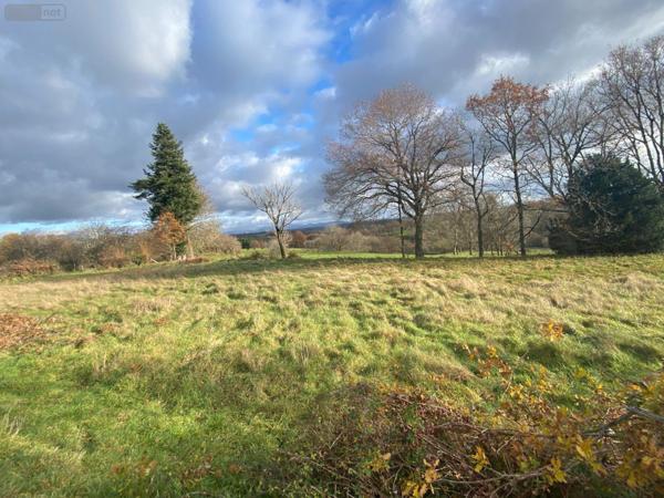 Terrain à Batir à vendre à Pleaux dans le Cantal (15700), ref : 15060/1183