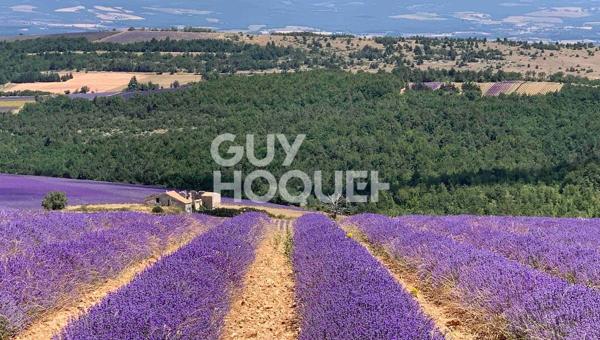Superbe maison familiale au pied du Mont Ventoux 158m2