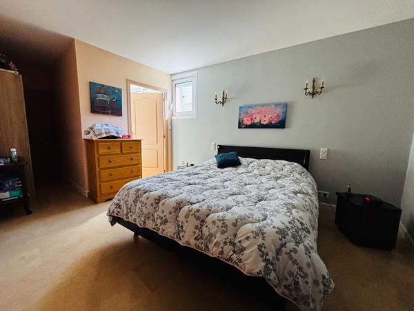 A VENDRE LAGRAULIERE MAISON EN PIERRE VIE DE PLAIN PIED 4 CHAMBRES ET GARAGE