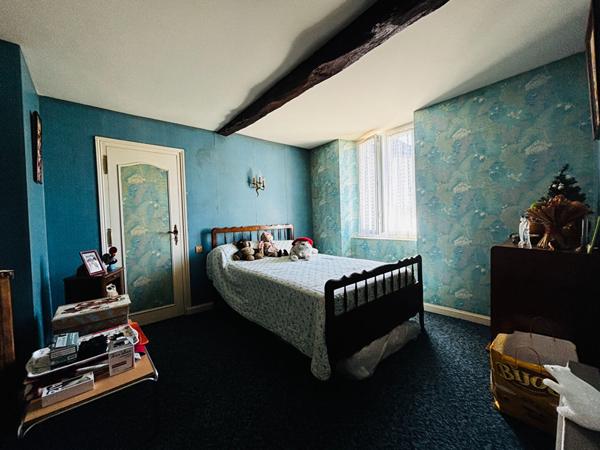 A VENDRE LAGRAULIERE MAISON EN PIERRE VIE DE PLAIN PIED 4 CHAMBRES ET GARAGE