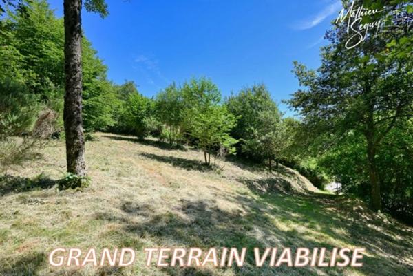 Terrain à fort potentiel à vendre de 1 500 m² constructibles à AVEIZE (69)