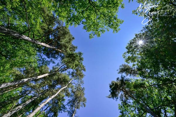 Terrain à fort potentiel à vendre de 1 500 m² constructibles à AVEIZE (69)