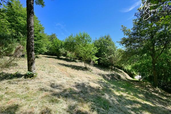 Terrain à fort potentiel à vendre de 1 500 m² constructibles à AVEIZE (69)