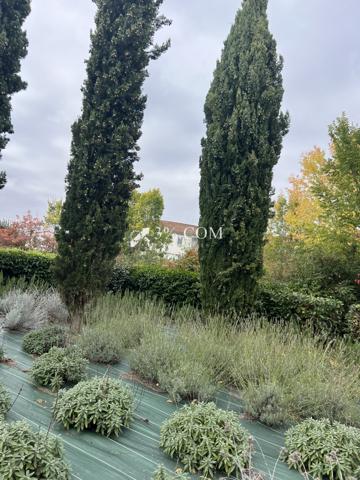 Appartement 3 pièce(s) 2 chambre(s) 61.9 m²