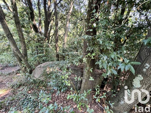 Terrain à vendre 3 854 m² Aubenas