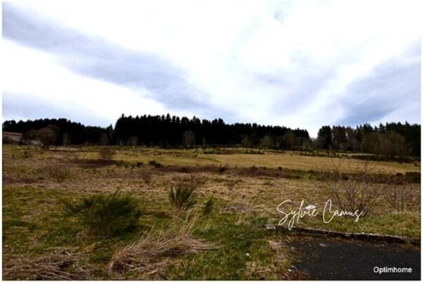 Terrain à vendre de 911,00 m² DUNIERES (43), viabilisé et idéalement situé,Vue dégagée – Cadre paisible – Proche commodités