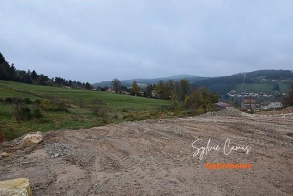 Terrain à vendre de 911,00 m² DUNIERES (43), viabilisé et idéalement situé,Vue dégagée – Cadre paisible – Proche commodités